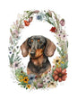 Dog6