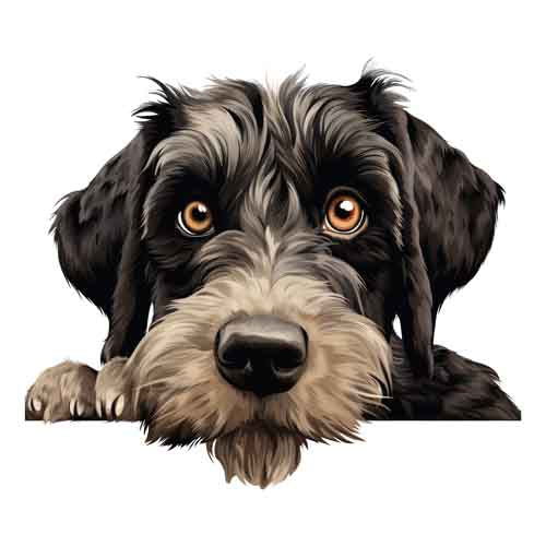 Dog632