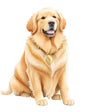 Dog640