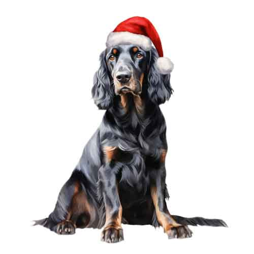 Dog643