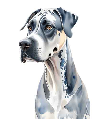 Dog650