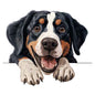 Dog655