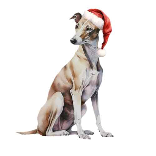Dog658