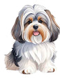 Dog663