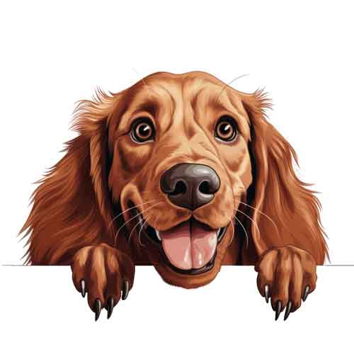 Dog670