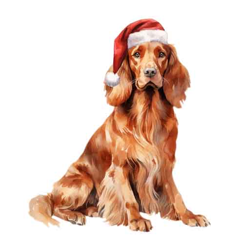 Dog671