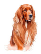 Dog673