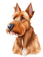 Dog676