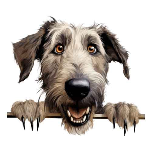 Dog679