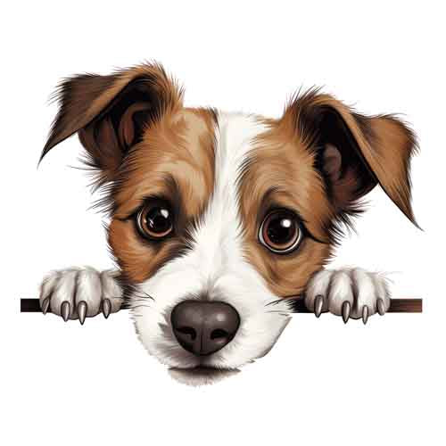 Dog688