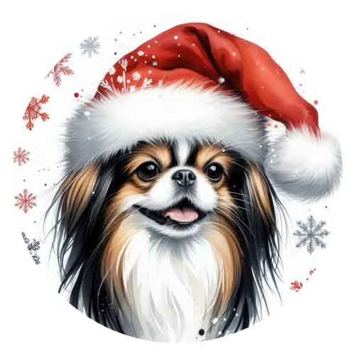 Dog692