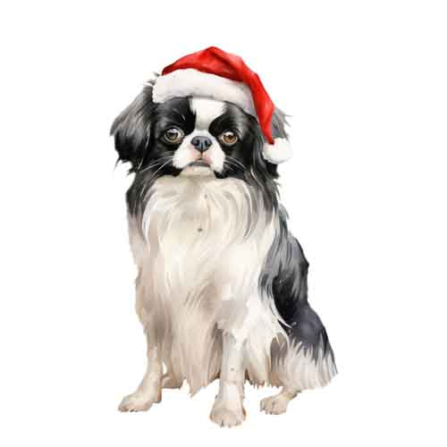 Dog693
