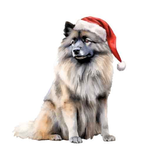 Dog698