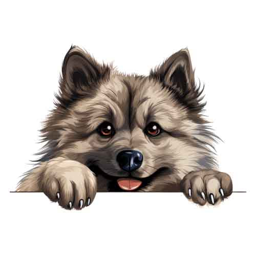 Dog700