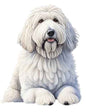 Dog703