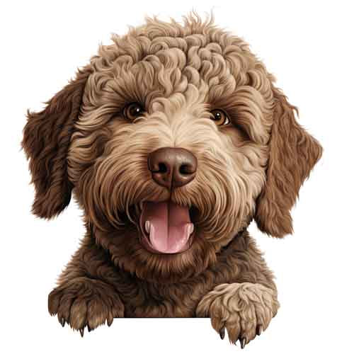 Dog713