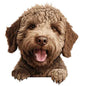 Dog713