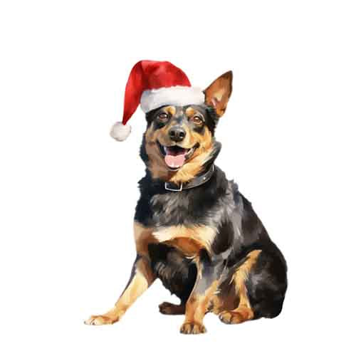 Dog716