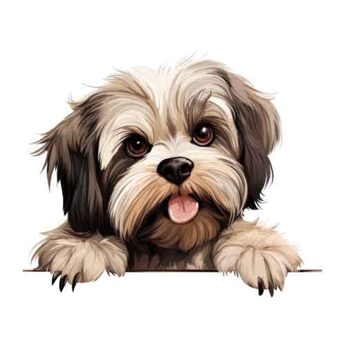 Dog719