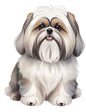 Dog722
