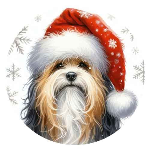 Dog723