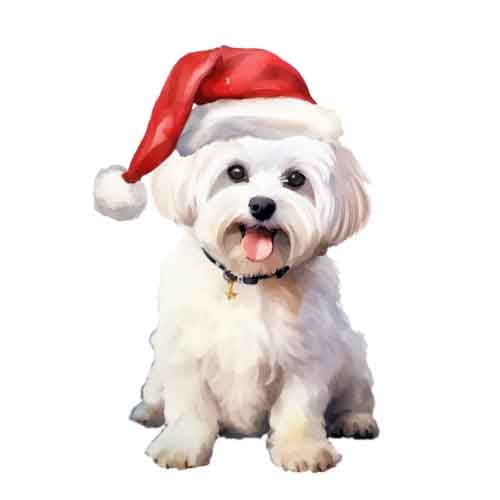 Dog726