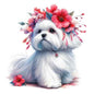 Dog729
