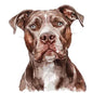 Dog74