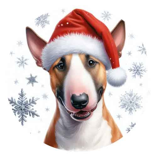 Dog743