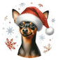 Dog746
