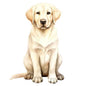 Dog75