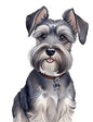 Dog750