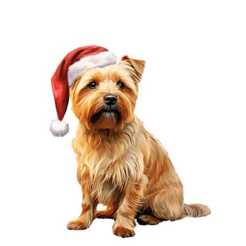 Dog757