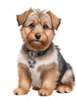 Dog759