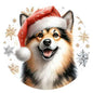 Dog760