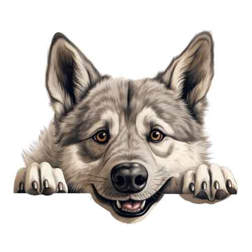 Dog761