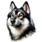 Dog763