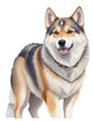 Dog764