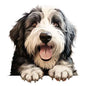 Dog769