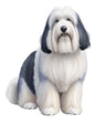 Dog772