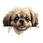 Dog780