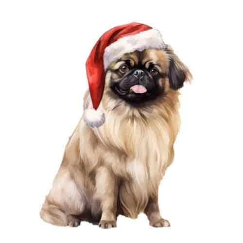 Dog781