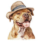 Dog791
