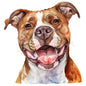 Dog798