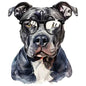 Dog799