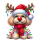 Dog8