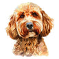 Dog81