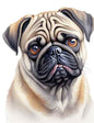 Dog856