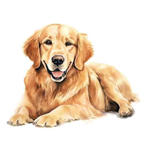 Dog87