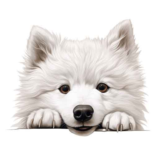 Dog874